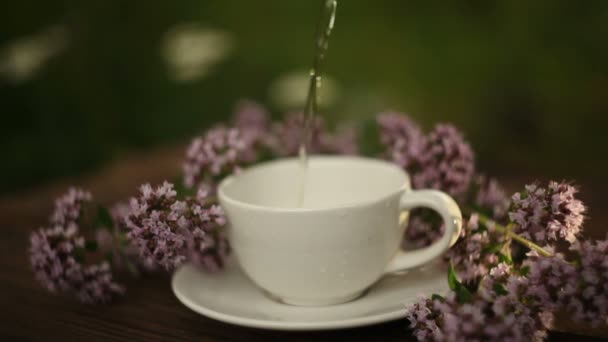 Heerlijke oregano thee in een mooie glazen kom op tafel — Stockvideo
