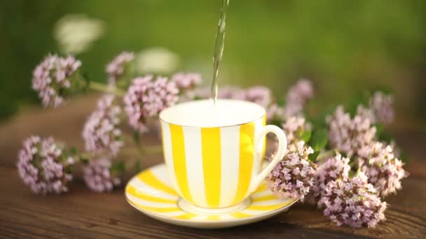 Смачний орегано чай в красивій скляній мисці на столі — стокове відео
