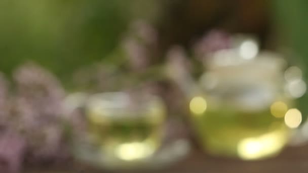 Delicious  oregano tea in a beautiful glass bowl on table — Stock Video