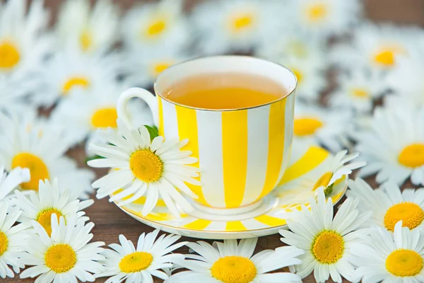 Taza de porcelana con té verde en la mesa — Foto de Stock