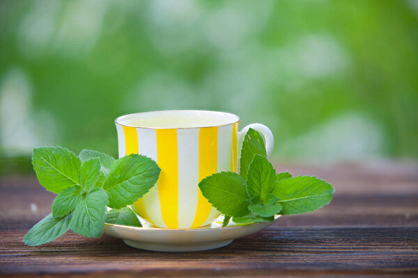 фарфоровый кубок с зеленым чаем на столе
