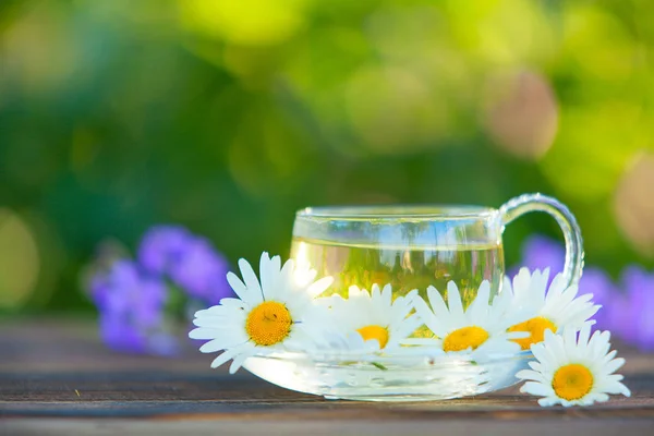 Copa de cristal con té verde en la mesa — Foto de Stock