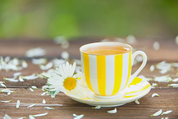 Taza de porcelana con té verde en la mesa — Foto de Stock