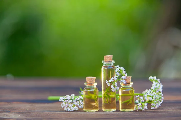 Esencia de flores en la mesa en un hermoso frasco de vidrio — Foto de Stock