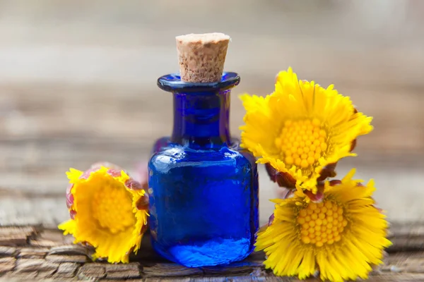 Aceite esencial de pie de potro en hermosa botella en la mesa — Foto de Stock