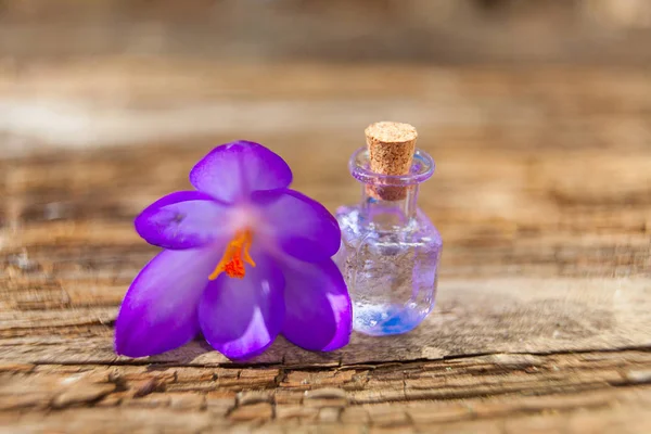 Aceite esencial de coco en una hermosa botella en la mesa — Foto de Stock