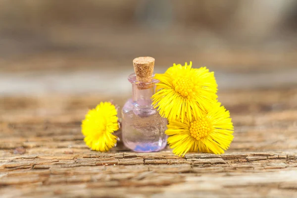 Aceite esencial de pie de potro en hermosa botella en la mesa — Foto de Stock