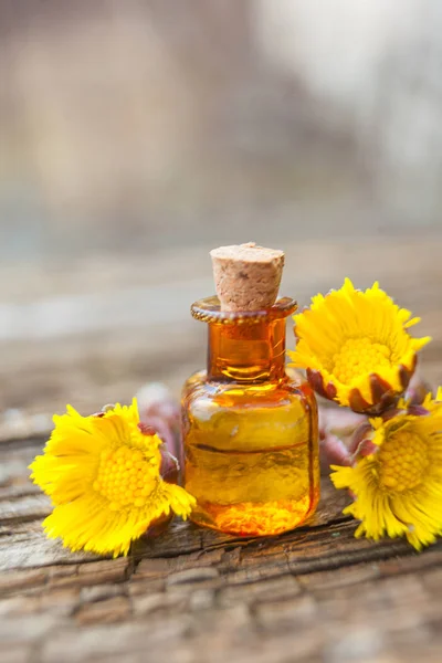 Aceite esencial de pie de potro en hermosa botella en la mesa — Foto de Stock