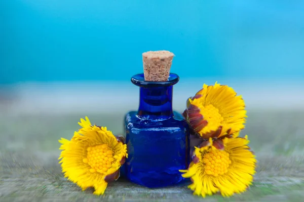 Aceite esencial de pie de potro en hermosa botella en la mesa — Foto de Stock