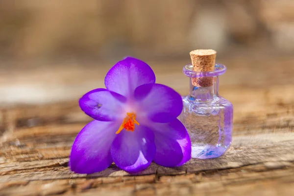 Aceite esencial de coco en una hermosa botella en la mesa — Foto de Stock