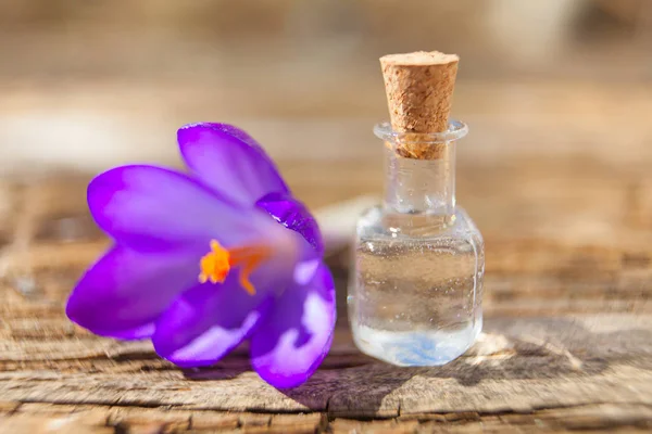 Aceite esencial de coco en una hermosa botella en la mesa — Foto de Stock