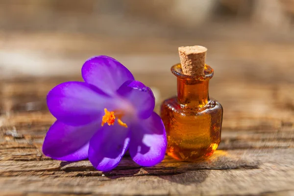 Aceite esencial de coco en una hermosa botella en la mesa — Foto de Stock