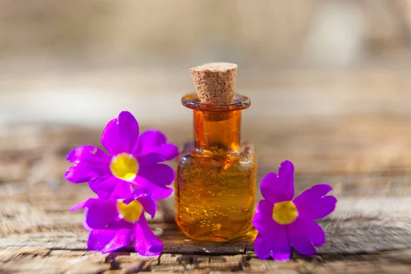 Aceite esencial de onagra en una hermosa botella en la mesa — Foto de Stock