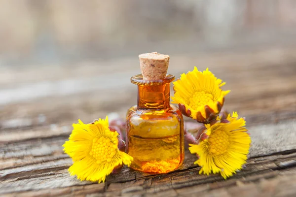 Aceite esencial de pie de potro en hermosa botella en la mesa — Foto de Stock