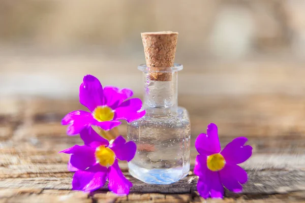 Aceite esencial de onagra en una hermosa botella en la mesa — Foto de Stock