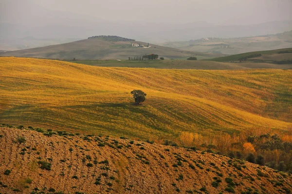 Paisagem de colinas Toscana no outono na Itália — Fotografia de Stock