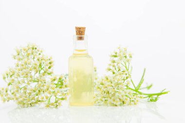 Güzel Cam masaya çiçek özü