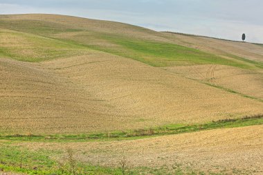  İtalya 'da sonbaharda Toskana tepelerinin manzarası