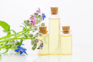 Beyaz arka planda güzel bir şişe içinde borago temel yağı