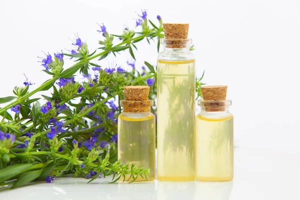 Aceite esencial de hisopo en hermosa botella sobre fondo blanco — Foto de Stock