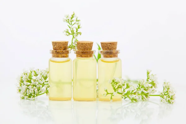 Esencia de flores en la mesa en un hermoso frasco de vidrio — Foto de Stock