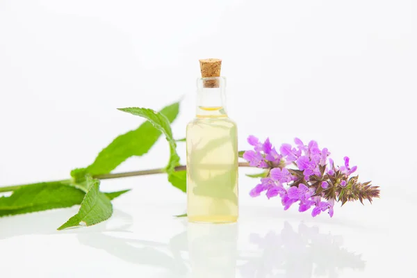 Aceite esencial de lombriz de pantano en una hermosa botella en la espalda blanca — Foto de Stock