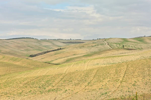 Landskap av kullar Toscana i höst i Italien — Stockfoto