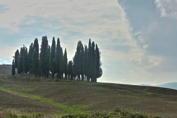 Τοπίο των λόφων της Τοσκάνης το φθινόπωρο στην Ιταλία — Φωτογραφία Αρχείου