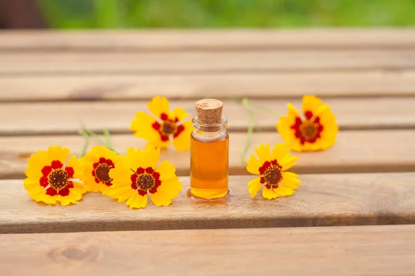 Aceite esencial de coreopsis en una hermosa botella en la mesa — Foto de Stock