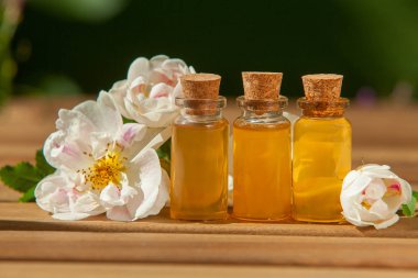 Güzel cam beyaz arka plan üzerinde çiçek özü