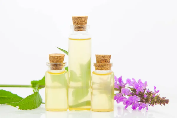 Aceite esencial de lombriz de pantano en una hermosa botella en la espalda blanca — Foto de Stock