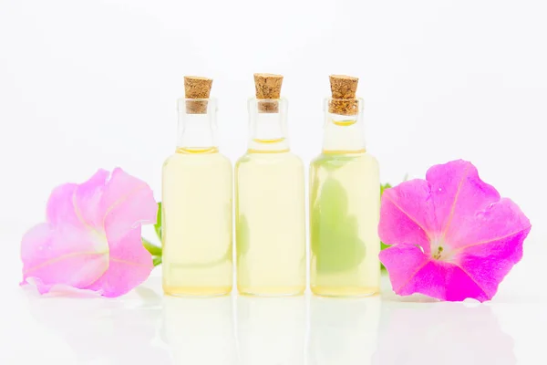 Aceite esencial de malva en hermosa botella sobre fondo blanco — Foto de Stock