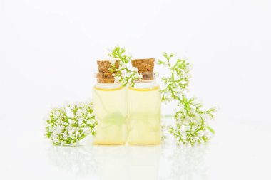 Güzel Cam masaya çiçek özü