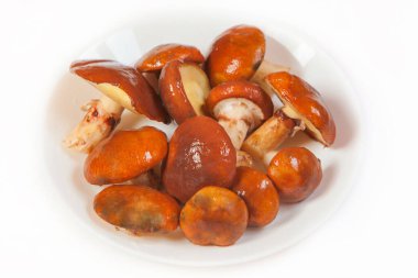 Güzel çiğ mantarlar beyazda izole edilmiş.