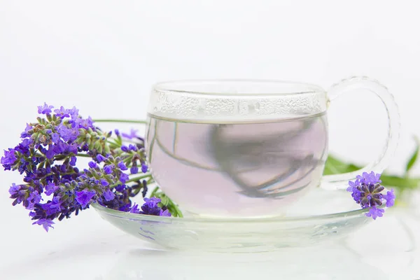 Yeşil Lavende çayı güzel bir fincanda — Stok fotoğraf