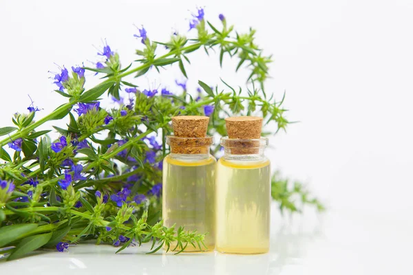 Aceite esencial de hisopo en hermosa botella sobre fondo blanco — Foto de Stock