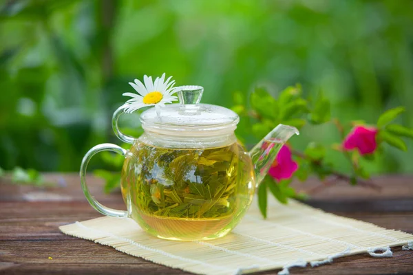 Grüner Tee mit Kamille in Tasse — Stockfoto