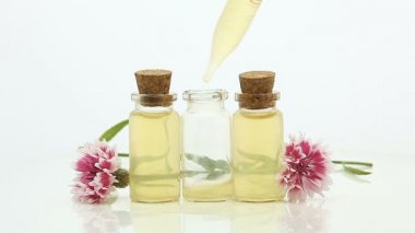 Knapweed çiçeklerinin esansı beyaz arka plan güzel cam şişe