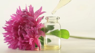 Aster esans beyaz arka plan üzerinde güzel şişe