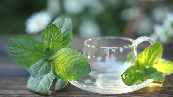 在桌子上的美丽的玻璃碗美味绿茶 — 图库视频影像