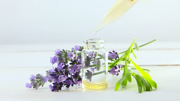 Olio Essenziale Lavanda Bella Bottiglia Sfondo Bianco — Video Stock