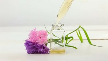 Knapweed çiçeklerinin esansı beyaz arka plan güzel cam şişe