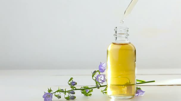 Campanula Olio Essenziale Bella Bottiglia Sfondo Bianco — Video Stock