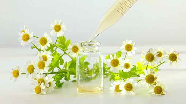 Essence Fleurs Sur Table Dans Une Belle Bouteille Verre — Video