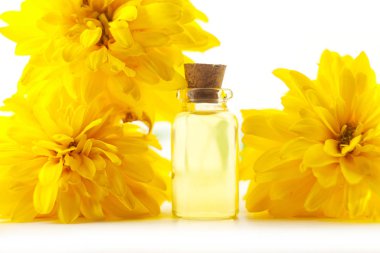 Yerçiçeği çiçeğinin özü beyaz arka planda güzel 