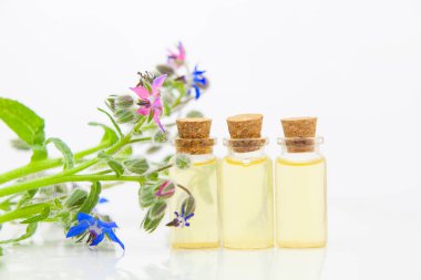 Beyaz arka planda güzel bir şişe içinde borago temel yağı