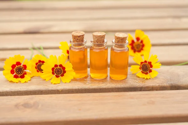 Aceite esencial de coreopsis en una hermosa botella en la mesa — Foto de Stock