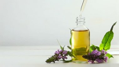 Bataklık yarasası esaslı yağ beyaz arka planda güzel bir şişe içinde