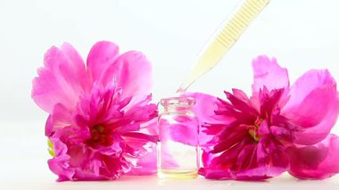 Güzel cam şişe içinde masaya Peony çiçek özü