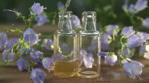 Essentie Van Bloemen Tafel Mooie Glazen Pot — Stockvideo
